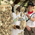Jaimie Alexander Instagram - Say hello to the women oyster farmers of Kartong, The Gambia 👋 Self Help Africa are working with these women as part of our @irish.aid funded project that aims to improve food security and incomes for 12,000 people, through: - Sustainable oyster harvesting and processing - Waste management - Vegetable production Today, a group of women oyster farmers demonstrated to our Gambia team & @jaimiealexander a number of programme activities, including: - Rack culturing oysters - stringing the oysters and placing on ‘racks’ in the water to better protect mangroves - Sorting through oysters to find the superior female oyster shells - The planting of new mangroves and the protection of existing and restored mangrove forests Why are programmes like this so vital in The Gambia? Low lying coastal areas such as Kartong are particularly vulnerable to the impacts of climate change, putting livelihoods at risk. Part of the solution lies in protecting the previous mangrove forests of the region. Mangroves are a hotspot for biodiversity, providing food and income through activities such as oyster farming - and are also up to seven times more effective than other forests at removing polluting carbon from the atmosphere. Working together, women oyster farmers in The Gambia are transforming their families’ futures and protecting our precious planet too 💚