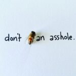 Jaimie Alexander Instagram - 🙅🏻‍♀️🐝 an 🍑🕳️
