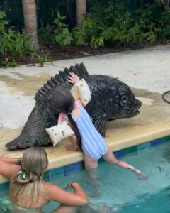 Jamie Lynn Spears Instagram - Happy 4th🇺🇸🌴☀️🌊