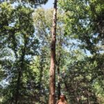 Jana Kramer Instagram - “I was so scared to just let go. I debated my next steps. I was either going to let go and fall off or I was going to make it to the top and stand on the shaky small platform. I couldn’t do it. I couldn’t take another step… I held myself back. I told myself I couldn’t do it when I got up there, and down I went…..but I knew there had to be a way, and I wasn’t going down until I chose myself and broke free”- stand up chapter @thenextchapterjk. The therapist at @experienceonsite took this photo from her phone because for the first time, I was proud of myself. @experienceonsite changed my life in so many ways and I’ll forever be grateful for that place and all the things I had to do to shed 30 years of shame and negative messages..