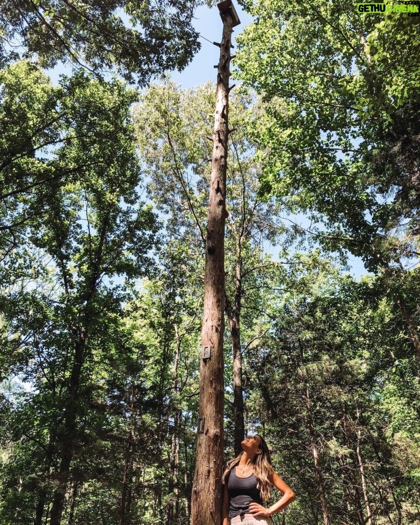 Jana Kramer Instagram - “I was so scared to just let go. I debated my next steps. I was either going to let go and fall off or I was going to make it to the top and stand on the shaky small platform. I couldn’t do it. I couldn’t take another step… I held myself back. I told myself I couldn’t do it when I got up there, and down I went…..but I knew there had to be a way, and I wasn’t going down until I chose myself and broke free”- stand up chapter @thenextchapterjk. The therapist at @experienceonsite took this photo from her phone because for the first time, I was proud of myself. @experienceonsite changed my life in so many ways and I’ll forever be grateful for that place and all the things I had to do to shed 30 years of shame and negative messages..