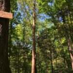 Jana Kramer Instagram - “I was so scared to just let go. I debated my next steps. I was either going to let go and fall off or I was going to make it to the top and stand on the shaky small platform. I couldn’t do it. I couldn’t take another step… I held myself back. I told myself I couldn’t do it when I got up there, and down I went…..but I knew there had to be a way, and I wasn’t going down until I chose myself and broke free”- stand up chapter @thenextchapterjk. The therapist at @experienceonsite took this photo from her phone because for the first time, I was proud of myself. @experienceonsite changed my life in so many ways and I’ll forever be grateful for that place and all the things I had to do to shed 30 years of shame and negative messages..