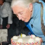 Jane Goodall Instagram – 🌟💚 Wow, what a birthday! Thank you all for the outpouring of warm wishes for Jane yesterday as she celebrated this milestone year.
Let’s keep this momentum going strong because as Jane says, she’s not slowing down at 90 — she’s gearing up to spread her message of hope even further.
Here’s to many more years of curiosity, inspiration, and compassion for our planet and all who call it home!
📷 and 🎨 Brilliant Earth Photographer, MUTTS/Patrick McDonnell, Luke Stambouliah, Jen Turpin, Joanna Vesty, Jeremy Collins