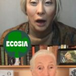 Jane Goodall Instagram - Celebrate Earth Day with Dr. Jane Goodall and her long lost twin, Dr. Jane Not-Good-At-All! “Whether you’re busy saving chimps and ecosystems or perhaps winning the biggest drag competition in the universe, you can do something easy and impactful for Earth Day by switching to Ecosia (@ecosia)! Ecosia is a browser and search engine, but they dedicate 100% of their profits to the planet, and support amazing projects such as @janegoodallinst tree planting and chimpanzee protection programs in Uganda. #ecosia #climateaction #ichooseecosia