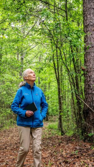 Jane Goodall Instagram - 🌍📅 On this Earth Day, we are proud to share Jane’s timeless message of hope. 

“Today, let’s all think how we can each do our bit. For every single one of us has a role to play and each one of us can make a difference.” - Dr. Jane Goodall 💚
.
.
.
#JaneGoodall #JaneAt90 #GoodAllDay #JaneGoodallInstitute #JGI #EarthDay #UN #MotherEarthDay #Conservation #TakeBoldAction #Community #Planet #BioDiversity #Wildlife #PlanetEarth #OurPlanet #MotherEarth