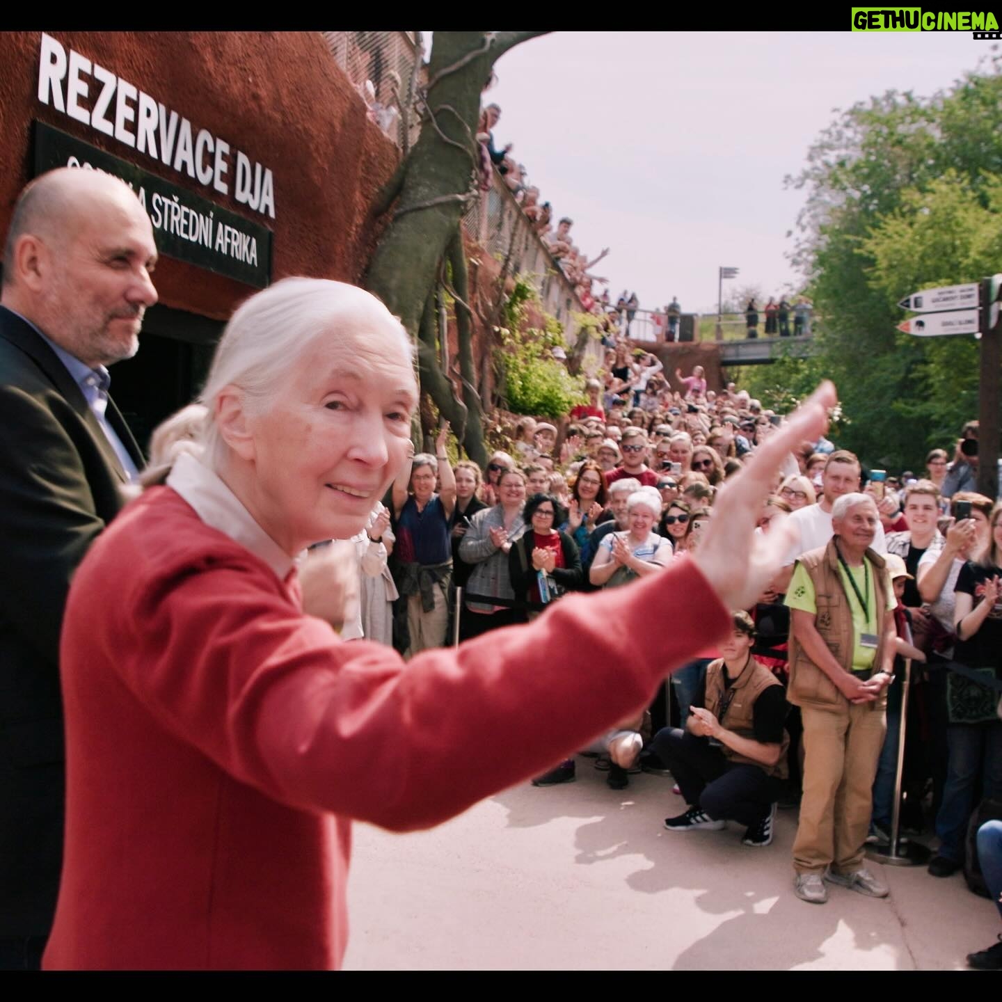 Jane Goodall Instagram - **On the road with Jane - The Pangolin’s Kiss 🌍💚** An inspiring moment with Jane Goodall at Prague Zoo (@zoopraha)! Witnessing the first baby pangolin born in a European zoo—Siska, a female soon turning one, is a symbol of hope for conservation. 🐾🎉 These creatures, the world’s most trafficked animal, face extinction due to illegal trafficking for unproven medicinal claims. Jane’s joy was palpable, marking her first-ever encounter with a pangolin, linking directly to her book ‘Pangolina,’ where a young girl heroically saves a pangolin. The overwhelming turnout for Jane’s book signing was a testament to the power of education and passion for wildlife conservation. Gratitude and awe filled the day, as we celebrated this significant milestone at one of the world’s premier zoos. 🙌✨ 📸 @richardladkani & @malaika.pictures in collab with @ageofunion, filming Jane on her global tour. 🎥🌐 #JaneGoodall #PangolinConservation #PragueZoo #JaneGoodallInstitute #AgeOfUnion #MalaikaPictures #RichardLadkani #Conservation #WildlifeConservation #EndangeredSpecies #SaveThePangolins #AnimalConservation
