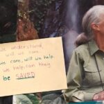 Jane Goodall Instagram - Jane Garcia’s inspiration: Dr. Jane Goodall.