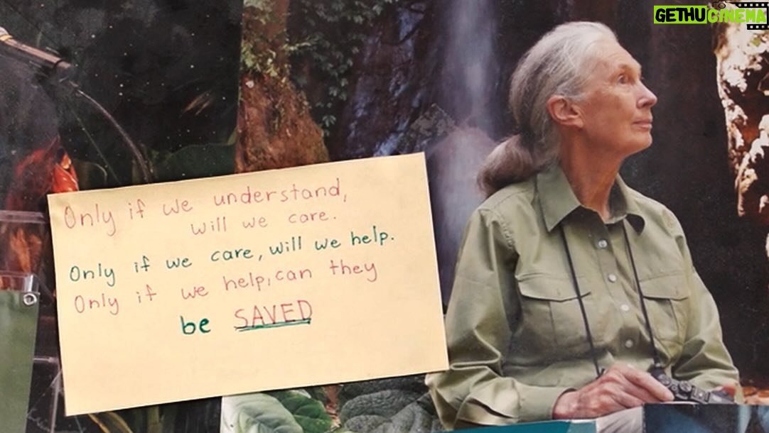 Jane Goodall Instagram - Jane Garcia’s inspiration: Dr. Jane Goodall.