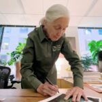 Jane Goodall Instagram - 🌟 Want to own a piece of history? We’ve partnered with @vital.impacts for a fine-art photography sale in celebration of Jane’s 90th, including a limited number of Jane signed prints! 🖊️ 📸 “The Nature of Hope: 90 Prints in Honor of Jane Goodall” features the work of 90 female photographers, all inspired by Jane and in celebration of her 90th birthday on April 3, 2024. 💚 Every purchase directly supports the Jane Goodall Institute’s global chapter, aiding their work in conservation and advocacy. Browse the collection and find your inspiration today — LINK IN BIO! Slide 1: Video of Dr. Jane Goodall signing her self-portrait. @amivitale Slide 2: Kristina Makeeva. Socotra. @hobopeeba Slide 3: Acacia Johnson. Where the Walruses Sing. @acacia.johnson Slide 4: Tine Poppe. Phalaenopsis Aphrodite. @tinepoppe Slide 5: Lisa Michele Burns. Peak Patience. @thewanderinglens @amivitale #JaneAt90 #janegoodallinstitute #vitalimpacts #photography #wildlifephotography #femalephotographers #janegoodall #wildlife #wildlifeconservation #conservation #wonder #mayflowers #may #flowers