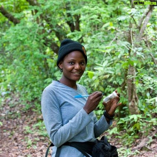 Jane Goodall Instagram - Many people know Dr. Jane Goodall, but you may not know the Jane Goodall Institute! So let's introduce ourselves... The Jane Goodall Institute is a global, community-led conservation organization founded in 1977 that advances the vision and work of Dr. Jane Goodall. Each of our impactful programs is rooted in Jane's story and unique approach to looking a the world. Here's a look at what we're focused on at JGI-USA: π Continued research into wild animal behavior β especially chimpanzees β at Gombe Stream Research Center in Tanzania πΏ Community-led conservation, using our Tacare approach to work with communities to find solutions to the drivers of conservation issues π«Ά Best-in-class wildlife rehabilitation at our Tchimpounga Chimpanzee Rehabilitation Center in the Republic of Congo π± Youth empowerment through our youth action program, @rootsandshoots , which teaches through service learning projects Join us in inspiring hope and transforming it into action π . . . . . #janegoodall #janegoodallinstitute #chimpanzees #conservation #nonprofit #chimpanzeeconservation #interconnected #communityledconservation #communityconservation #wildlife #africanwildlife #tacare #rootsandshoots #youthaction #youthempowerment #servicelearning #community #communityprojects