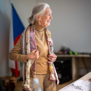 Jane Goodall Instagram - 🌟 Jane's global 90th birthday tour continues! Just last week in Prague, Dr. Goodall met with students, representatives, and teachers from five different schools, hosted by @ecp_prague.
 
🐸 Here, you see a student group sharing about their impactful frog restoration project. They also gifted Jane a charming paper frog model. She loved it so much, that it's currently keeping her stuffed monkey, Mr. H, company in Jane's hotel room!
 
Stay tuned for more stories from Jane on the road. (#DidYouKnow: She travels at least 300 days a year to spread her message of hope?) 🌍
 
📷 Mikhail Bobchinetskiy
.
.
.
#JaneGoodall #JaneGoodallInstitute #JGI #WildlifeConservation #Community #Prague #Education #Conservation #Frogs #FrogConservation