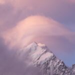 Jane Goodall Instagram - 🌟 Want to own a piece of history? We’ve partnered with @vital.impacts for a fine-art photography sale in celebration of Jane’s 90th, including a limited number of Jane signed prints! 🖊️ 📸 “The Nature of Hope: 90 Prints in Honor of Jane Goodall” features the work of 90 female photographers, all inspired by Jane and in celebration of her 90th birthday on April 3, 2024. 💚 Every purchase directly supports the Jane Goodall Institute’s global chapter, aiding their work in conservation and advocacy. Browse the collection and find your inspiration today — LINK IN BIO! Slide 1: Video of Dr. Jane Goodall signing her self-portrait. @amivitale Slide 2: Kristina Makeeva. Socotra. @hobopeeba Slide 3: Acacia Johnson. Where the Walruses Sing. @acacia.johnson Slide 4: Tine Poppe. Phalaenopsis Aphrodite. @tinepoppe Slide 5: Lisa Michele Burns. Peak Patience. @thewanderinglens @amivitale #JaneAt90 #janegoodallinstitute #vitalimpacts #photography #wildlifephotography #femalephotographers #janegoodall #wildlife #wildlifeconservation #conservation #wonder #mayflowers #may #flowers