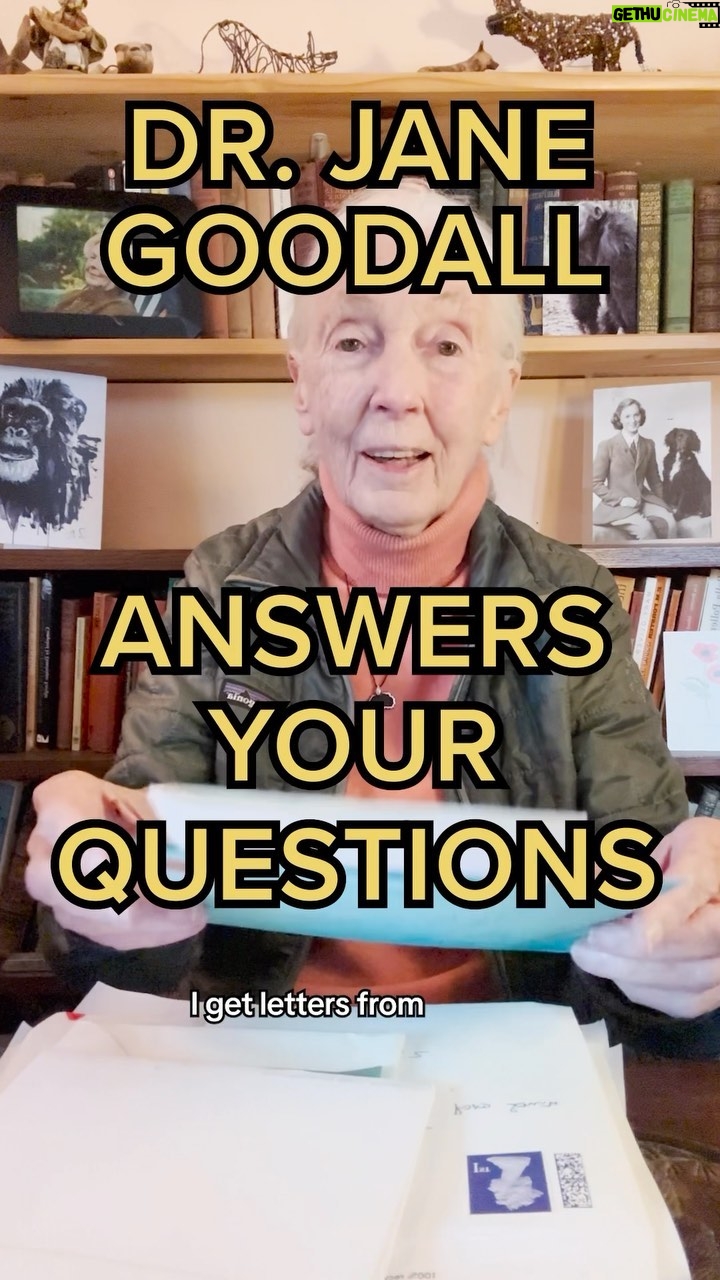 Jane Goodall Instagram - Climate advocate Dr. Jane Goodall takes over for Earth Month with #TikTokForGoodall and answers your burning questions #TikTokForGood #conservation #nature #WordsOfWisdom #animalsoftiktok
