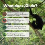 Jane Goodall Instagram - 🔍 Let's take a deep dive into the Jane Goodall Institute's wild animal behavior research! Jane's observations of chimpanzees in what is now Gombe, Tanzania, shaped the way we view the animal world, and continuing to learn about chimpanzees — and the many other species who share their ecosystems — is essential to protecting them! Here are some ongoing studies: 🐵 The longest-running wild chimpanzee study in the world continues in Gombe, Tanzania! JGI funds research to continue studying our closest genetic relatives, and together we're learning so much. 📝 Also in Gombe, Tanzania, is a long-term study of olive baboons, led by Dr. Anthony Collins. This study has been going since 1972! 🌿 There are wild populations of chimpanzees that live around JGI's Tchimpounga Sanctuary in the Republic of the Congo. JGI-RoC staff monitor their behavior to know when it's safe to play outside with baby chimpanzees at the center. 📱 Teams of researchers also leverage the newest technology to monitor and study the larger biodiversity of these ecosystems, especially in Gombe, Tanzania. Help fund continued research at Gombe Stream National Park by becoming or gifting a Gombe Science Hero — LINK IN BIO 📸 credits: Image 1: JGI/Fernando Turmo Image 2: Stephano Lihedule Image 3 4: Nick Riley Photography Image 5: JGI/Anne Mosser . . . . . #wildliferesearch #Gombe #Tchimpounga #biodiversity #baboons #baboonresearch #chimpanzeeresearch #baboonconservation #bioacoustics #janegoodall #janegoodallinstitute #chimpanzees #conservation #nonprofit #chimpanzeeconservation #interconnected #communityledconservation #communityconservation #wildlife #africanwildlife