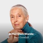 Jane Goodall Instagram - Through her pioneering studies on chimpanzees & ongoing dedication to worldwide conservation efforts, @janegoodallinst continues to embody hope and actionable change for our planet. In honor of #EarthDay, we asked her to tell us more about three of her books. Read on for her insights, and don’t miss Jane, a live-action series inspired by Goodall’s work, now streaming on @AppleTV.