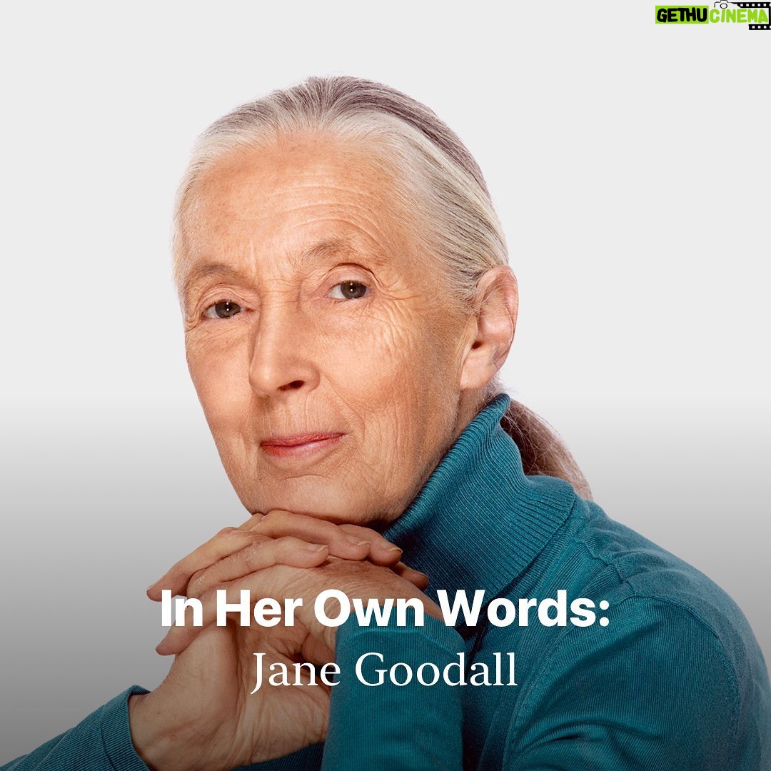 Jane Goodall Instagram - Through her pioneering studies on chimpanzees & ongoing dedication to worldwide conservation efforts, @janegoodallinst continues to embody hope and actionable change for our planet. In honor of #EarthDay, we asked her to tell us more about three of her books. Read on for her insights, and don’t miss Jane, a live-action series inspired by Goodall’s work, now streaming on @AppleTV.