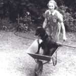 Jane Goodall Instagram - 🐾 Jane often talks about her beloved childhood companion, a dog named Rusty. While many think Rusty ignited Jane's passion for animals, Jane says that in fact, she was born loving animals. Rusty's friendship and intelligence played a different role in Jane's journey. 🐶💡 Rusty's companionship empowered her to challenge the skepticism she faced while earning her PhD. "It was Rusty’s friendship and intelligence that helped me to stand up to the Cambridge professors who told me that only humans had personality, minds, and emotions!" Rusty's companionship and the lessons he taught Jane allowed her to build upon her innate love for animals. 📷 the Goodall Family Alt text: Slide 1: A young girl with short blonde hair and pale skin (Jane Goodall) wearing shorts and a tank top sits on a stool in a backyard cradling a cat and smiling at the camera. Slide 2: A female toddler with blonde hair (Jane Goodall) hugging a plush chimpanzee toy that's almost the same size as her. Slide 3: A young girl with short blonde hair wearing a collared dress pushes a wheel barrow with a dog in it. The dog, Rusty, has a black coat with distinctive white patch on his chest. #JaneGoodall #JaneGoodallInstitute #FunFacts #AnimalWelfare #GirlsInScience #WildlifeConservation #Conservation #Wildlife #Pets