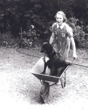 Jane Goodall Instagram - 🐾 Jane often talks about her beloved childhood companion, a dog named Rusty. While many think Rusty ignited Jane's passion for animals, Jane says that in fact, she was born loving animals. Rusty's friendship and intelligence played a different role in Jane's journey.
 
🐶💡 Rusty's companionship empowered her to challenge the skepticism she faced while earning her PhD. "It was Rusty’s friendship and intelligence that helped me to stand up to the Cambridge professors who told me that only humans had personality, minds, and emotions!"
 
Rusty's companionship and the lessons he taught Jane allowed her to build upon her innate love for animals.
 
📷 the Goodall Family
 
 
Alt text:
Slide 1: A young girl with short blonde hair and pale skin (Jane Goodall) wearing shorts and a tank top sits on a stool in a backyard cradling a cat and smiling at the camera.
Slide 2: A female toddler with blonde hair (Jane Goodall) hugging a plush chimpanzee toy that's almost the same size as her.
Slide 3: A young girl with short blonde hair wearing a collared dress pushes a wheel barrow with a dog in it. The dog, Rusty, has a black coat with distinctive white patch on his chest.
 
#JaneGoodall #JaneGoodallInstitute #FunFacts #AnimalWelfare #GirlsInScience #WildlifeConservation #Conservation #Wildlife #Pets