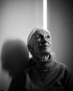 Jane Goodall Instagram - 🌟💚 Wow, what a birthday! Thank you all for the outpouring of warm wishes for Jane yesterday as she celebrated this milestone year.

Let’s keep this momentum going strong because as Jane says, she’s not slowing down at 90 — she’s gearing up to spread her message of hope even further. 

Here’s to many more years of curiosity, inspiration, and compassion for our planet and all who call it home! 

📷 and 🎨 Brilliant Earth Photographer, MUTTS/Patrick McDonnell, Luke Stambouliah, Jen Turpin, Joanna Vesty, Jeremy Collins