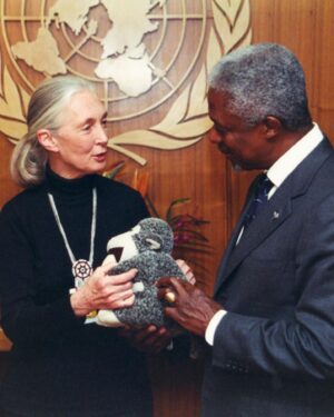 Jane Goodall Instagram - Have you met Mr. H? 🐒 This monkey plushy has been with Jane on many adventures — including when she was named a @unitednations Messenger of Peace (last slide)!

Mr. H was given to Jane by Gary Haun (slide 2), a man who lost his eyesight at 21 years old, who pursued his dreams of being a magician despite the challenges of working in a field known for visual techniques. As Jane often shares, Gary initially thought he was giving her a chimpanzee plushy, until she had him feel that Mr. H had a tail (chimpanzees and other great apes don’t have tails, but monkeys do). 

Jane was deeply inspired by Gary’s story, and so she decided to carry Mr. H as a symbol of the indomitable human spirit — one of her four main reasons for hope! 

📸 credits:
Video: JGI
Image 1: Roger Kyler
Image 2: Roy Borghouts
Image 3: Michael Collopy
Image 4: UN Dept of Public Information

Alt Text
Slide 1: Video of Dr. Jane Goodall in a sunlit room holding a monkey plushie and answering the question “What is the story behind the plush toy monkey you’re holding”
Slide 2: A photo of Jane with Gary Haun, who is wearing sunglasses and a magician’s hat, both holding Mr. H in between them. 
Slide 3: photo of Jane at a podium holding up Mr. H to the audience with one hand presenting his tail.
Slide 4: A photo of Jane with children who are petting Mr. H, because as Jane says, the inspiration rubs off. 
Slide 5: A photo of Jane and former UN Secretary-General Kofi Annan at her appointment ceremony as a United Nations Messenger of Peace in 2002 with Mr. H in between them. 

#MrH #Magician #JaneGoodall #JaneGoodallInstitute #JaneAt90 #Hope #HopeIntoAction #Education #StoryTime #Plushy #TravelCompanion #UN #MessengerOfPeace