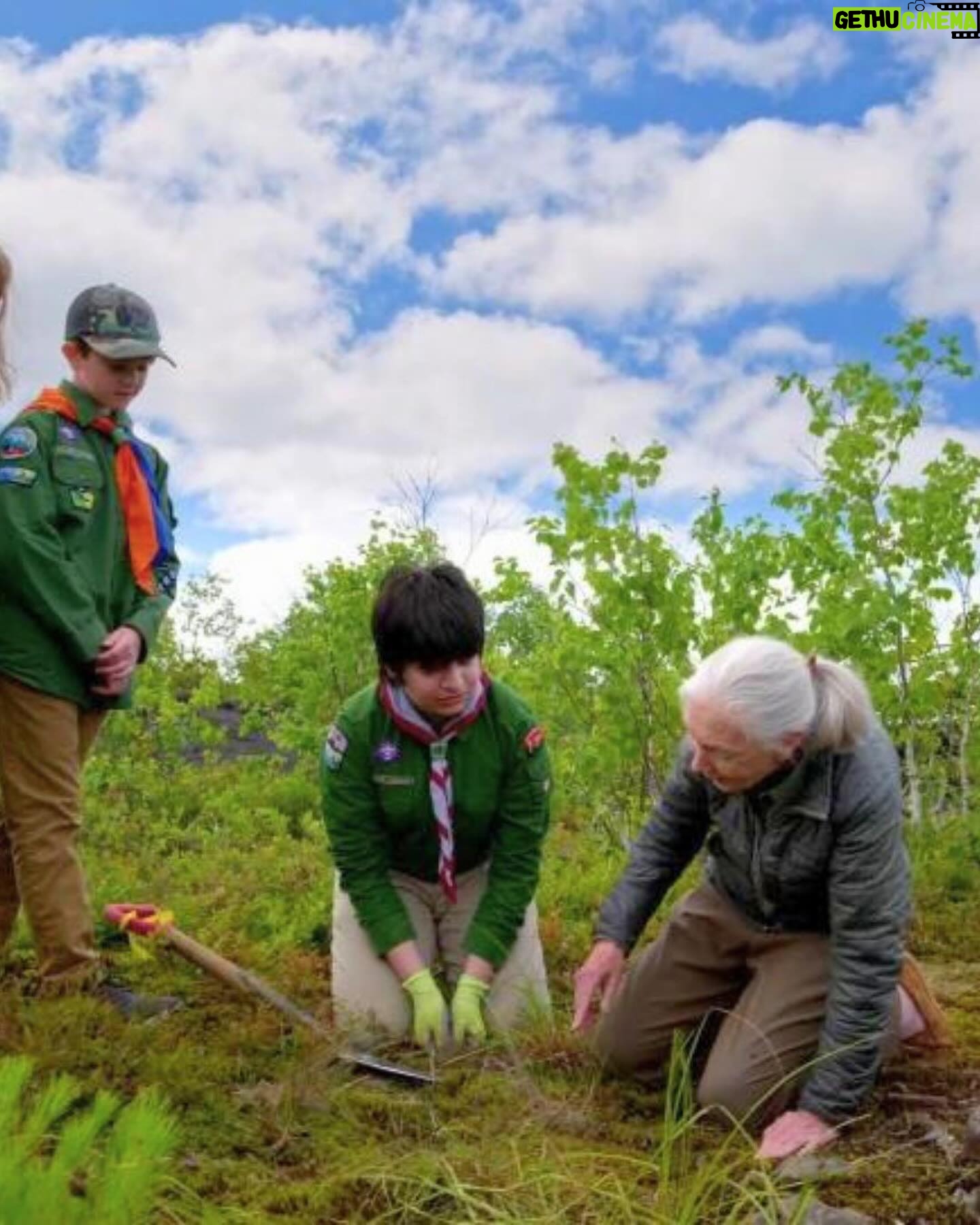 Jane Goodall Instagram - 🎉 Did you know we’re celebrating Jane’s 90th birthday all year round? Jane is continuing her #birthday tour worldwide, and we’re keeping the party going with #GoodAllDay, our campaign to celebrate Jane with an act of kindness, big or small. 🌍 Let’s keep spreading kindness, making a positive impact, and embodying Jane’s values of compassion and empathy every single day. As Jane always says, together we can make the world a better place... one good deed at a time! 💚 Check out these #GoodAllDay inspo from earlier this month and shout out to @rootsandshoots for supporting some of these change-makers! Slide 1: Courtesy of Cosmic Pictures and Science North, Jane assisting with tree planting Slide 2: @eckerdreducesingleuse Eckerd College’s Reducing Single Use Team who ran a campus cleanup as well as collecting marine debris along their local coastline Slide 3: @thomas_dc_debonne whose R&S group is implementing marbles of kindness project! Slide 4: @justinsfrogproject who planted 90 trees for the occasion Slide 5: @miss.emerson.rose who put together birthday kits for kids in need Slide 6: @savethesunriseglossies who shared backyard initiatives to collectively make a difference Slide 7: @conserv.action who will be sharing 90 ideas to take action to better your community and beyond (available on earth day!)