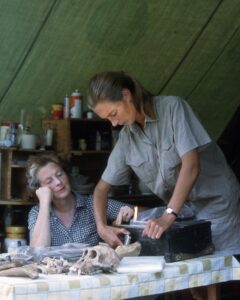 Jane Goodall Instagram - 🌿 Dr. Jane Goodall and Her Mother, Vanne 🌸 Behind every remarkable individual is a source of inspiration, and for Jane Goodall, that guiding light was her beloved mother, Vanne. With a heart full of compassion and a spirit of adventure, Vanne instilled in Jane the values of empathy, curiosity, and perseverance. When Jane arrived in Gombe in 1960 to conduct her groundbreaking observations into the world of chimpanzees, her mother was by her side. Jane often credits Vanne's unwavering support and encouragement for fueling her passion for understanding and protecting the natural world. This Mother's Day, let's celebrate a bond that continues to shape Jane's legacy of conservation and compassion 🌍💫 #JGI #janegoodall #Gombe #mothersday 📸: Hugo van Lawick Alt Text: A photo of a young feminine person with a pony tail (Dr. Jane Goodall) (right) working on a typewriter next to an older feminine person sitting at a table watching (Vanne Goodall) (left).