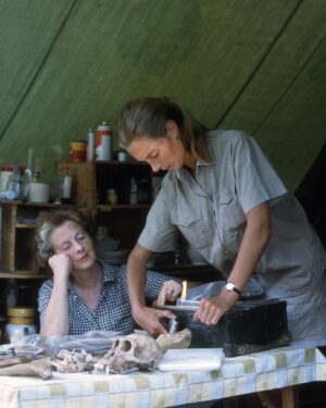 Jane Goodall Instagram - 🌿 Dr. Jane Goodall and Her Mother, Vanne 🌸
 
Behind every remarkable individual is a source of inspiration, and for Jane Goodall, that guiding light was her beloved mother, Vanne. With a heart full of compassion and a spirit of adventure, Vanne instilled in Jane the values of empathy, curiosity, and perseverance.
 
When Jane arrived in Gombe in 1960 to conduct her groundbreaking observations into the world of chimpanzees, her mother was by her side. Jane often credits Vanne's unwavering support and encouragement for fueling her passion for understanding and protecting the natural world.
 
This Mother's Day, let's celebrate a bond that continues to shape Jane's legacy of conservation and compassion 🌍💫 #JGI #janegoodall #Gombe #mothersday
 
📸: Hugo van Lawick
Alt Text:
A photo of a young feminine person with a pony tail (Dr. Jane Goodall) (right) working on a typewriter next to an older feminine person sitting at a table watching (Vanne Goodall) (left).