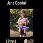 Jane Goodall Instagram - 🎉 Did you know we’re celebrating Jane’s 90th birthday all year round? Jane is continuing her #birthday tour worldwide, and we’re keeping the party going with #GoodAllDay, our campaign to celebrate Jane with an act of kindness, big or small. 🌍 Let’s keep spreading kindness, making a positive impact, and embodying Jane’s values of compassion and empathy every single day. As Jane always says, together we can make the world a better place... one good deed at a time! 💚 Check out these #GoodAllDay inspo from earlier this month and shout out to @rootsandshoots for supporting some of these change-makers! Slide 1: Courtesy of Cosmic Pictures and Science North, Jane assisting with tree planting Slide 2: @eckerdreducesingleuse Eckerd College’s Reducing Single Use Team who ran a campus cleanup as well as collecting marine debris along their local coastline Slide 3: @thomas_dc_debonne whose R&S group is implementing marbles of kindness project! Slide 4: @justinsfrogproject who planted 90 trees for the occasion Slide 5: @miss.emerson.rose who put together birthday kits for kids in need Slide 6: @savethesunriseglossies who shared backyard initiatives to collectively make a difference Slide 7: @conserv.action who will be sharing 90 ideas to take action to better your community and beyond (available on earth day!)