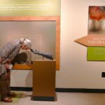 Jane Goodall Instagram – Happy International Museum Day! 📚🏛️🔍 At the Jane Goodall Institute, we’re so proud to collaborate with these centers of learning and culture, especially through our own traveling #BecomingJane exhibition with @insidenatgeo !
“Becoming Jane: The Evolution of Dr. Jane Goodall” follows Jane’s journey from a young woman who dreamed of living with wild animals, to the global icon we know today. Take a step inside a recreation of Jane’s research camp in Gombe, Tanzania, learn about the research that has continued since these early days, and hear from a hologram-like projection of Dr. Goodall as she shares her memories from that extraordinary time.
Have you explored the exhibition yet? Now’s the last chance for folks in #SaltLakeCity, UT to see it at @nhmu before it departs on May 28. But not to worry — the adventure continues at @thedurhammuseum in #Omaha, NE where the exhibition will be opening on June 22! Learn more — LINKS IN BIO
📸 credit: Jonathan Orr
…..
#museumday #museums #education #thingstodoinsaltlakecity #thingstodoinomaha #exhibition #janegoodall #janegoodallinstitute #chimpanzees #conservation #nonprofit #chimpanzeeconservation #interconnected #communityledconservation #communityconservation #wildlife #africanwildlife #tacare
Alt text:
A photo of an elderly, feminine person with pale skin and white hair pulled into a ponytail (Dr. Jane Goodall) participating in an interactive display, a part of the exhibit aimed at recreating one of her iconic photos. She is leaning her head down to touch the fingertips on a metal sculpture of a chimpanzee arm reaching out. Behind and to the right of her is the famous photograph in question—a younger Jane similarly posed but her head touched by a real chimpanzee in Gombe.
A photo of an elderly, feminine person with pale skin and white hair pulled into a ponytail (Dr. Jane Goodall) looking up at a museum display showcasing photos from her life, awards she has won, books, art, and more.
A photo of an elderly, feminine person with pale skin and white hair pulled into a ponytail (Dr. Jane Goodall) looking at a glass case with a green platform inside, and a telescope resting on the platform.