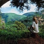 Jane Goodall Instagram - We are overjoyed to present an exclusive collection of signed prints by the esteemed Dr. Jane Goodall herself! These are moments that left an indelible mark on history, including Jane’s iconic self-portrait from her formative years in Gombe, alongside captivating photos of her beloved chimpanzee companions. We also have this iconic moment captured by legendary @natgeo photographer Mike “Nick” Nichols, @michaelnicknichols as he watched Jane approach the cage of a dangerous and aggressive male chimpanzee. Disarming him with a language cultivated through years of intimate research, she extends a simple yet profound gesture—offering her hair for him to touch.. It was a simple moment that came to represent the essence of Dr. Goodall’s lifelong dedication to wildlife conservation. It’s important to note that Dr. Goodall does not endorse handling or close proximity to wildlife, but this historic moment serves as a poignant reminder of the profound understanding she had of these creatures’ sentience. Join us as we embark on a 90-day journey celebrating the breathtaking photography of pioneering female artists, each image inspired by the enduring legacy of Jane Goodall. Act soon to secure your piece of history - link in bio! #HappyBirthdayJane #CelebratingJaneGoodall #environment #chimpanzee #conservation #photography #womeninstem @janegoodallinst