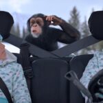 Jane Goodall Instagram - 🌿🎬 Season 2 of Jane, the series inspired by Dr. Jane Goodall, is here and the buzz is real! 📺💚 Follow Jane Garcia, an imaginative young environmentalist who idolizes Dr. Jane Goodall, as she goes on adventures with her best friend, David, and a stuffed chimpanzee named Graybeard in order to protect the wild animals of the world! 👀🍃 Why watch Jane? It’s more than just entertainment—it’s a journey into the heart of environmental consciousness. If you're drawn to stories that combine education with enchantment, Jane is your perfect match. . . . @appletv @sinkingshipent @theavalouisemurchison @themasonblomberg #JaneOnAppleTV #Season2 #DiscoverNature #EcoAdventure #WatchParty #JaneGoodall #JaneGoodallInstitute #Activism #Conservation #AppleTV #KidsSeries #Imagination