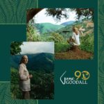 Jane Goodall Instagram - 🎉🎂 HAPPY 90TH BIRTHDAY, JANE! 🎂🎉 From your groundbreaking observations of chimpanzees to your current work as a global conservation advocate, you inspire hope and transform it into action 💚 🌎 Across oceans and continents, each Jane Goodall Institute chapter joins hands to celebrate the extraordinary woman who sparked a global movement for conservation and compassion. Here’s to your special day, filled with love, laughter, and endless inspiration! 📷 Sheri Determan, Courtesy of the Goodall Family, Judy Goodall, Jane Goodall, Hugo Van Lawick, JGI, Kathrin Simon, Michael Neugebauer, Rob Sassor, Stephanie S. Cordle/UMD, Stephen Lihedule, Courtesy of Animal Planet/Tigress Productions #GoodAllDay #JaneAt90 #JaneGoodall #JaneGoodallInstitute #BecauseOfJane #Birthday #90thBirthday #HopeIntoAction #TakeBoldAction #GlobalCommunity #Activism #Inspired #GlobalParty