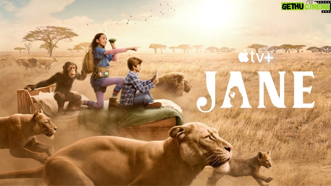 Jane Goodall Instagram - 🌿🎬 Season 2 of Jane, the series inspired by Dr. Jane Goodall, is here and the buzz is real! 📺💚 Follow Jane Garcia, an imaginative young environmentalist who idolizes Dr. Jane Goodall, as she goes on adventures with her best friend, David, and a stuffed chimpanzee named Graybeard in order to protect the wild animals of the world! 👀🍃 Why watch Jane? It’s more than just entertainment—it’s a journey into the heart of environmental consciousness. If you're drawn to stories that combine education with enchantment, Jane is your perfect match. . . . @appletv @sinkingshipent @theavalouisemurchison @themasonblomberg #JaneOnAppleTV #Season2 #DiscoverNature #EcoAdventure #WatchParty #JaneGoodall #JaneGoodallInstitute #Activism #Conservation #AppleTV #KidsSeries #Imagination
