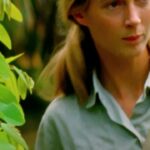 Jane Goodall Instagram - Happy 90th birthday to a pioneer of ethology 🐵 Today and every day, we celebrate the groundbreaking work of Dr. Jane Goodall through her inspiring legacy and unwavering dedication to the conservation of our planet 🌎 #JANE is now streaming on @DisneyPlus. #ourHOME