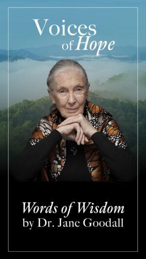 Jane Goodall Instagram - “I’ve spent my life working with and for animals. I was born loving them and wanting to learn about them.”

In honor of Dr. Jane Goodall’s milestone 90th birthday, Mercy For Animals and the Jane Goodall Institute are thrilled to release a special short film, Voices of Hope ~ Words of Wisdom by Dr. Jane Goodall, that we produced to commemorate Dr. Goodall’s lifetime of powerful advocacy on behalf of animals, people, and the planet. 🌏🌱

The film features an ensemble of esteemed and passionate public figures from all over the world reciting Dr. Goodall’s inspiring words of wisdom. We hope that everyone who watches this film will be uplifted and empowered to make positive choices and changes in the world this year and beyond. In honor of Dr. Goodall, “together we can, together we will.” 💙

Featuring the Hopeful Voices of:

@janegoodallinst

(in alphabetical order)

@corybooker, @iamtabithabrown, #EllenBurstyn, @crazysexykris, #PramodaChitrabhanu, @deepakchopra, @stephaniecorneliussen, #JamesCromwell, @sarahmjeffery, @guskenworthy, @jonkortajarena, @elizabethlail, #MattLauria, @evannalynch, #BJMiller, @therealjosephmorgan, @myaplanet9, @alexandra_actress, @nikkireed, @aliciasilverstone, @paulwesley, @misspersiawhite

A Film by Nik Tyler
Edited by @fernandacardoso
Executive Produced by
Dr. Kitty Steel & Lewis Steel,
Lewis H. Gould & Ellen Weissberg Gould,
Alexandra Paul
Produced, Directed & Cast by Nik Tyler
Audio Engineering by @808playtime

Music:
“Arrival of the Birds” (non-union version) by The Cinematic Orchestra
Courtesy of Disney Music Group Licensing