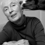 Jane Goodall Instagram – 🌟💚 Wow, what a birthday! Thank you all for the outpouring of warm wishes for Jane yesterday as she celebrated this milestone year.

Let’s keep this momentum going strong because as Jane says, she’s not slowing down at 90 — she’s gearing up to spread her message of hope even further. 

Here’s to many more years of curiosity, inspiration, and compassion for our planet and all who call it home! 

📷 and 🎨 Brilliant Earth Photographer, MUTTS/Patrick McDonnell, Luke Stambouliah, Jen Turpin, Joanna Vesty, Jeremy Collins
