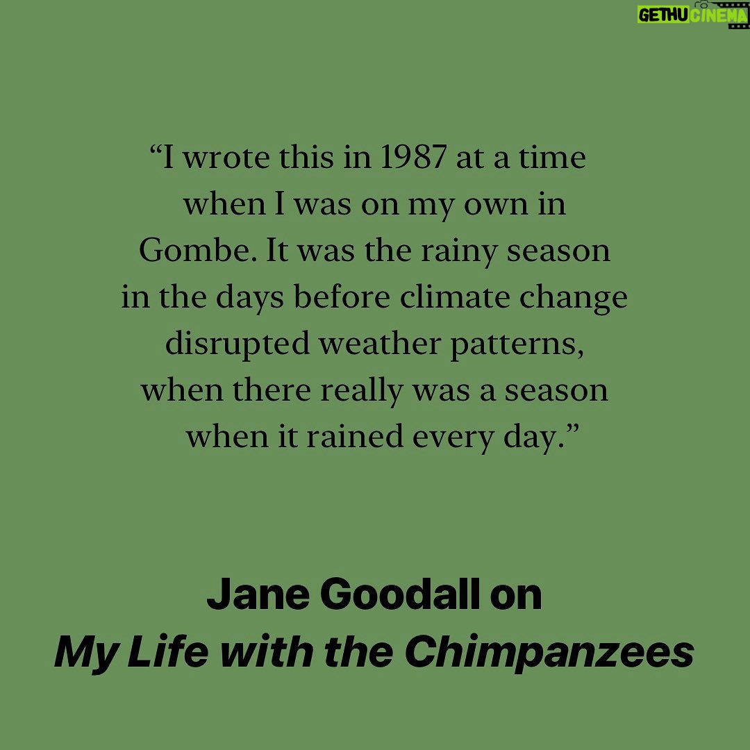 Jane Goodall Instagram - Through her pioneering studies on chimpanzees & ongoing dedication to worldwide conservation efforts, @janegoodallinst continues to embody hope and actionable change for our planet. In honor of #EarthDay, we asked her to tell us more about three of her books. Read on for her insights, and don’t miss Jane, a live-action series inspired by Goodall’s work, now streaming on @AppleTV.
