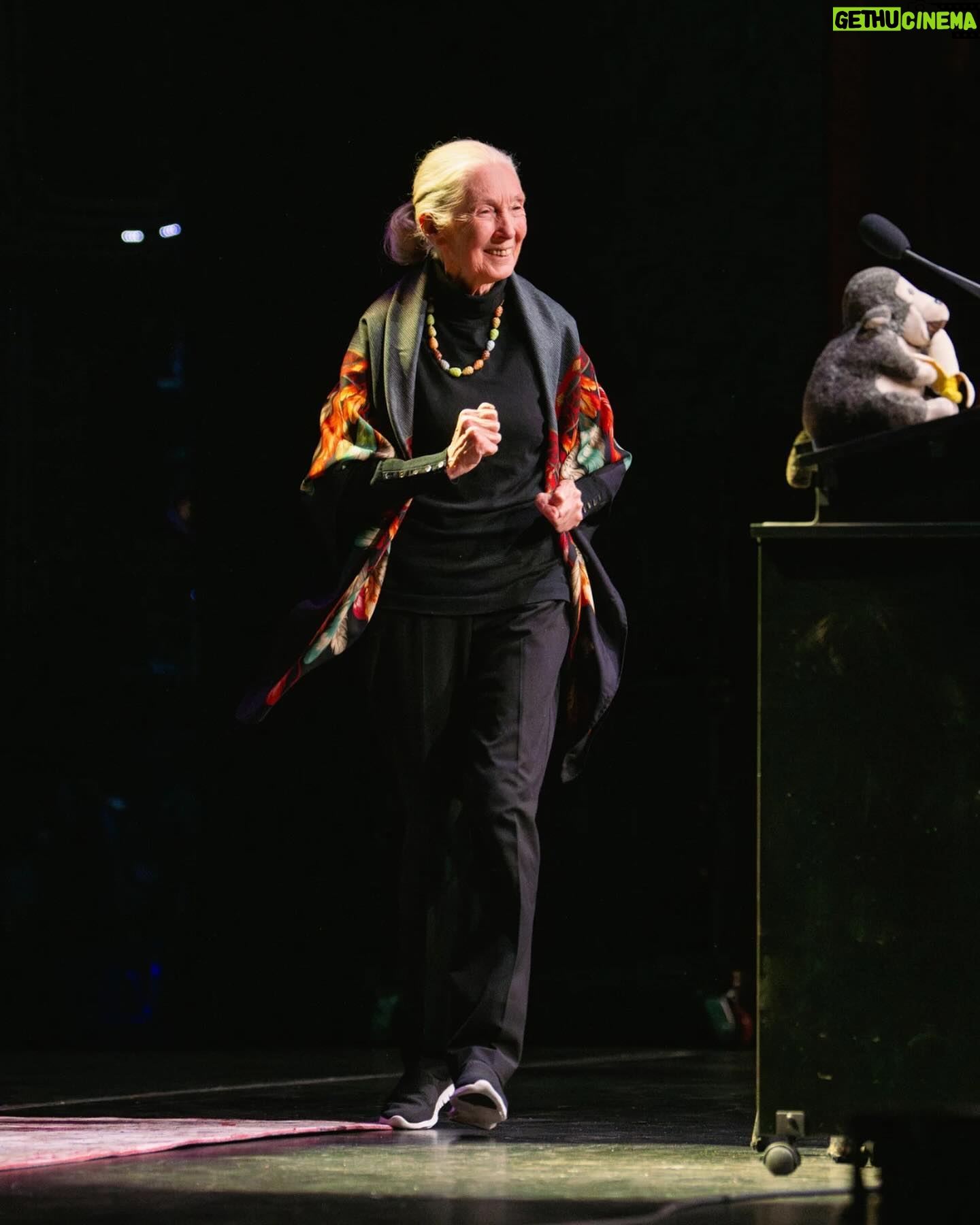 Jane Goodall Instagram - “If you’ve heard this story before, well that’s too bad,” Dr. Jane Goodall said with a twinkle in her eye to a packed auditorium at Seattle’s Moore Theater. Dr. Goodall went on to explain that in indigenous American tribes, stories are often told over and over again, becoming a source of comfort and familiar knowledge. She expressed her appreciation for this tradition and joked that if anyone in the audience didn’t like it, “too bad,” as she would be sharing her familiar stories tonight and throughout her tour — she’s currently traveling the world in celebration of her 90th birthday. As Jane tells us, stories create a sense of community and connection to each other. This humorous anecdote from Jane was a powerful reminder that stories have the ability to transcend time and culture, bringing people together and providing comfort and inspiration. Did you catch Jane live in Seattle, at the Beacon Theater in NYC, or at another tour event? Share your favorite stories in our comment section so we can connect within our own JGI community! 📷 Alyssa Rasp/MSGE, Jim Bennett, JGI/Sylvie Alt Text Slide 1: Jane speaking to the packed auditorium of the Beacon Theater in NYC. Slide 2: Jane jogging a few steps out onto the stage towards the podium where Mr. H, her stuffed monkey companion, is already placed. Slide 3: Photo of the marquee of the Moore Theater in Seattle with Jane Goodall presented. Underneath, there is a long line of audience members awaiting entrance to the theater that is wrapped around the building. Slide 4: A photo of a birthday edition Mr. H (holding a birthday cake instead of his usual yellow banana) in front of the stage at the Moore Theater. Slide 5: A photo of a packed house in the Moore Theater with Jane speaking onstage. @beacontheatre @stgpresents #JaneAt90 #JaneGoodall #JaneGoodallInstitute #ConservationHeroes #Birthday #90thBirthday #Conservation #CommunityConservation #Volunteer #Activism #TakeBoldAction #BoldAction #Hope #HopeIntoAction