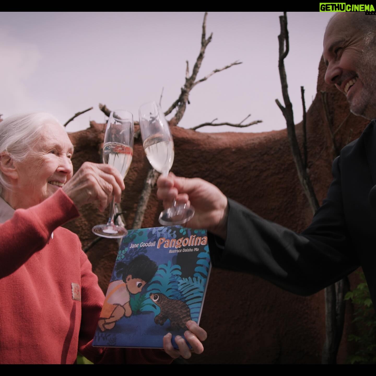 Jane Goodall Instagram - **On the road with Jane - The Pangolin’s Kiss 🌍💚** An inspiring moment with Jane Goodall at Prague Zoo (@zoopraha)! Witnessing the first baby pangolin born in a European zoo—Siska, a female soon turning one, is a symbol of hope for conservation. 🐾🎉 These creatures, the world’s most trafficked animal, face extinction due to illegal trafficking for unproven medicinal claims. Jane’s joy was palpable, marking her first-ever encounter with a pangolin, linking directly to her book ‘Pangolina,’ where a young girl heroically saves a pangolin. The overwhelming turnout for Jane’s book signing was a testament to the power of education and passion for wildlife conservation. Gratitude and awe filled the day, as we celebrated this significant milestone at one of the world’s premier zoos. 🙌✨ 📸 @richardladkani & @malaika.pictures in collab with @ageofunion, filming Jane on her global tour. 🎥🌐 #JaneGoodall #PangolinConservation #PragueZoo #JaneGoodallInstitute #AgeOfUnion #MalaikaPictures #RichardLadkani #Conservation #WildlifeConservation #EndangeredSpecies #SaveThePangolins #AnimalConservation