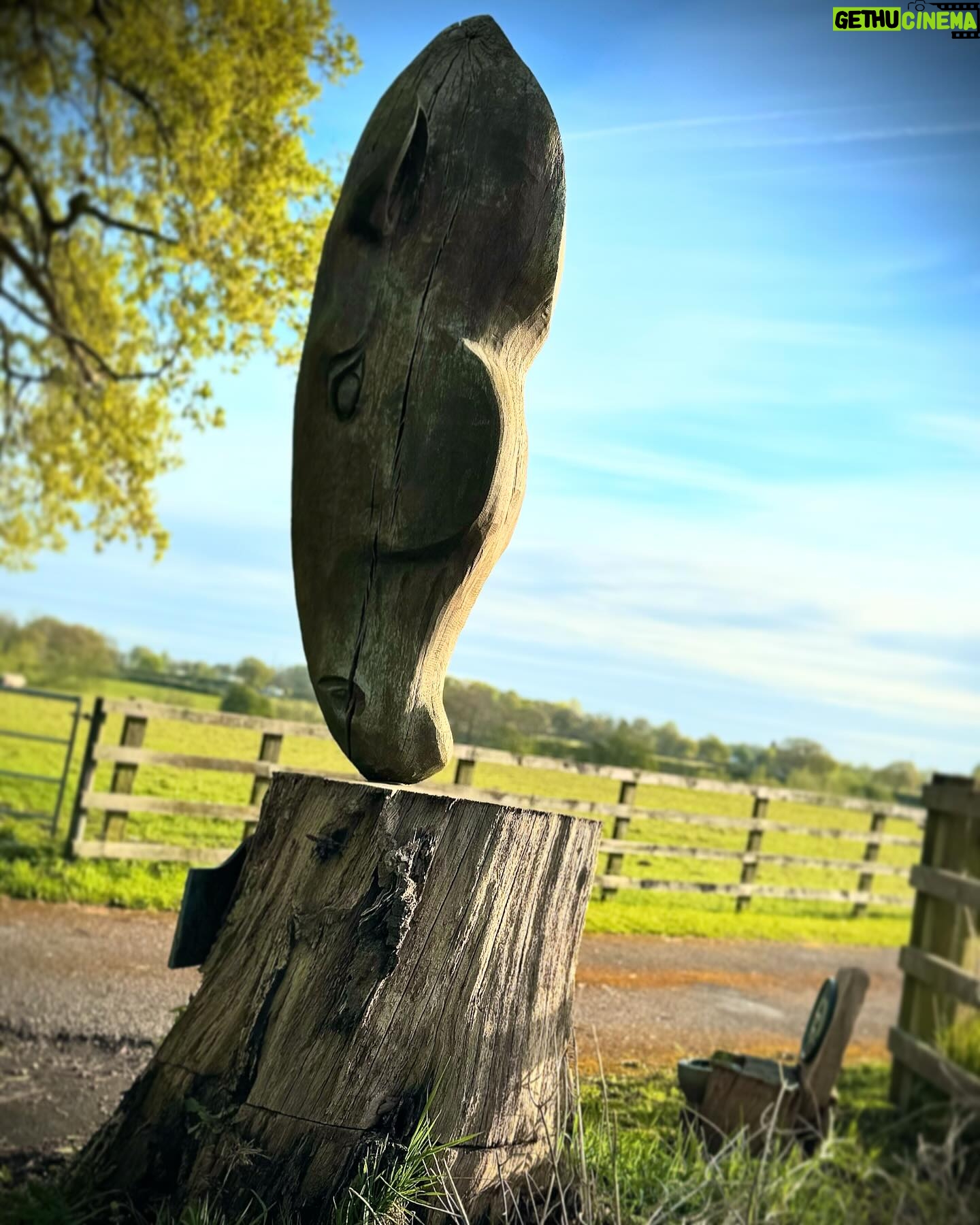 Janette Manrara Instagram - I’m not one go walking outside too much, for no other reason other than I just don’t think about it. But being outside in the fresh air and taking in the green around is so crucial for our well-being! I felt so much calm and a sense of inner peace just being outside and taking it all in. Think I need to start doing it more now that the weather will be a little nicer (hopefully🙏🏼). Made the start of my day absolutely beautiful, which then carries on into the rest of my day too 💫 Happy Tuesday!