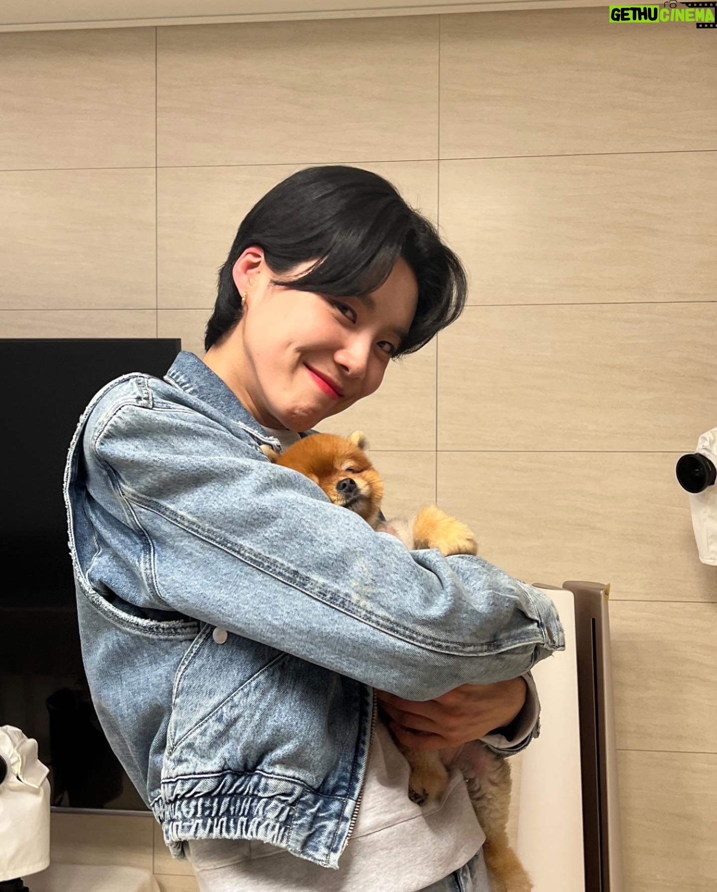 Jang Do-yeon - 36.2K Likes - 🐕