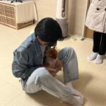 Jang Do-yeon Instagram - 🐕