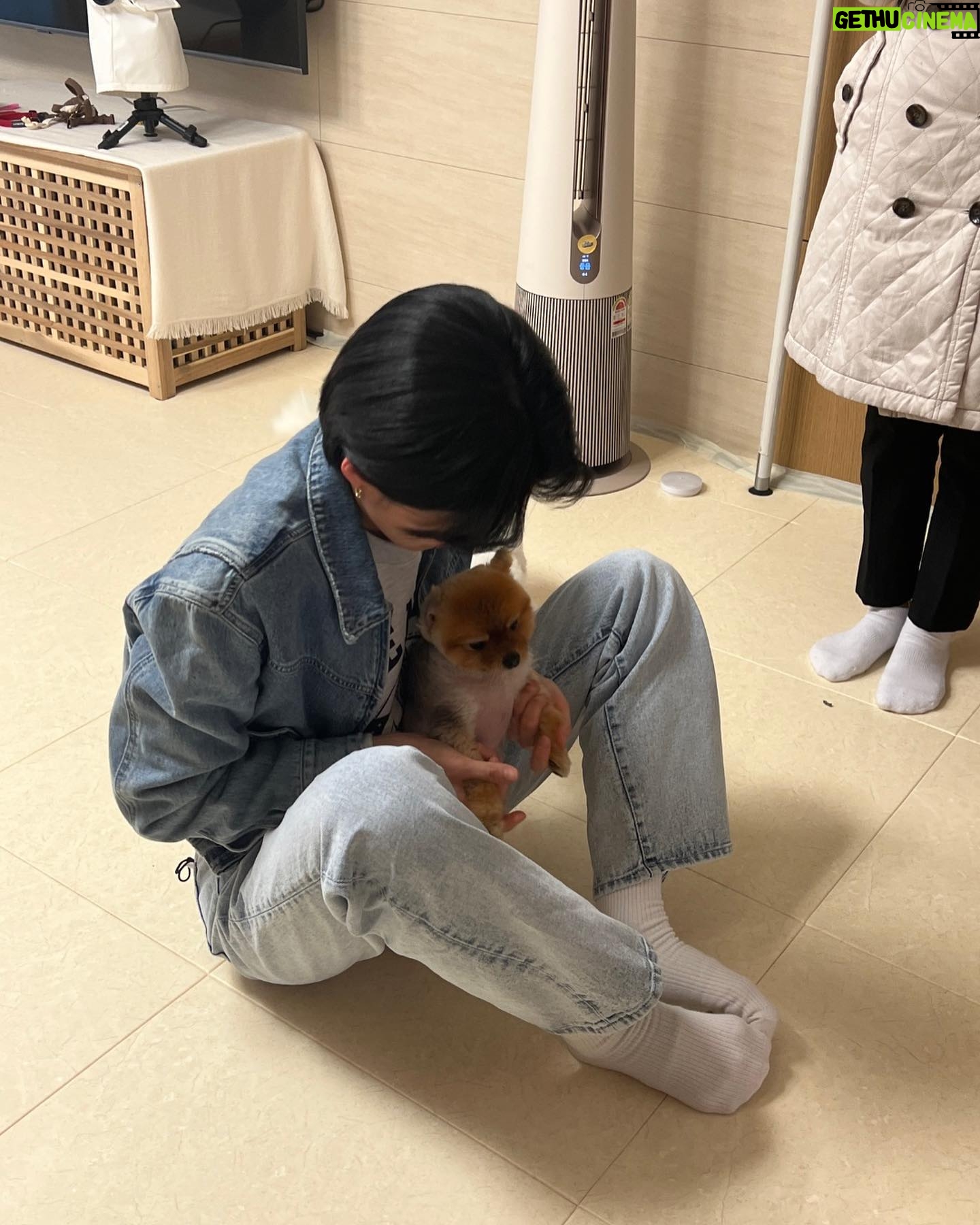 Jang Do-yeon - 36.2K Likes - 🐕