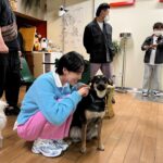 Jang Do-yeon Instagram - 귀요미 친구들 🐕