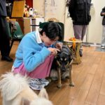 Jang Do-yeon Instagram - 귀요미 친구들 🐕