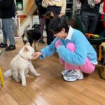 Jang Do-yeon Instagram - 귀요미 친구들 🐕