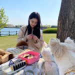 Jang Na-ra Instagram - 행복했던 봄소풍!!