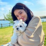 Jang Na-ra Instagram - 행복했던 봄소풍!!