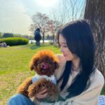 Jang Na-ra Instagram - 행복했던 봄소풍!!
