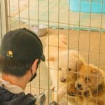 Jang Na-ra Instagram - #비구협#보은쉼터 #애린원 #한보름 #조혜정 #채수빈 #임세미 #정해나 #진동민 #윤종훈 #이채연 #정유랑 #김윤상 #박영환 #방대기 #채연 님. 채연언니친구분 유랑님 친구분 !! 고무장갑 보내주신 심소영, 사진찍어주신 윤상친구 포토님, 간식보내준 고보결님, 패드 물티슈 간식 후원해준 이연복, 왕병호 셰프님!! 어제 비구협 보은쉼터에 다같이 다녀왔어요!! 우리 한대장 보름이가 나서서 많은 분들이 함께 해 주셨어요^^ 먼 거리 같이 으쌰으쌰 해 주셔서 감사합니다!! 많은 관심과 사랑이 필요한 보은쉼터 입니다! 운영진 분들, 오랜세월 애들을 지켜오신 봉사자님들.. 정말정말 고생이 많으시더라구요 더 많은 분들이 따스한 관심과 사랑의 손길 보내주시면, 조금 더 나은 상황이 되지 않을까 싶어요! 많은 관심 부탁드립니다❤️